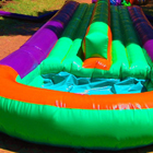 Double Waterslide Jumping Castle for Sale