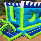Dolphin Adventure Jumping Castle for Sale