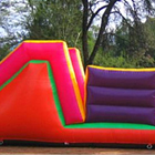 Gladiator Jumping Castle for Sale