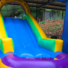 Gladiator Jumping Castle for Sale