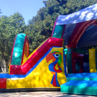 Wild Island Jumping Castle for Sale
